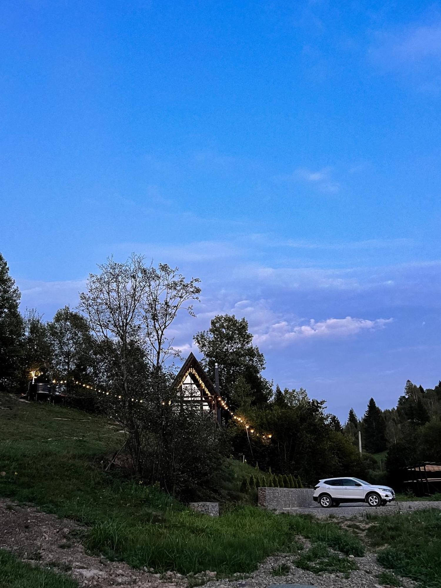 Valley Hills-Котедж На Схилах Гір З Чаном-Джакузі Slavske Exterior foto
